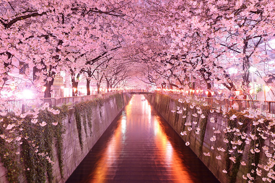 tunnels of branch-17 777819