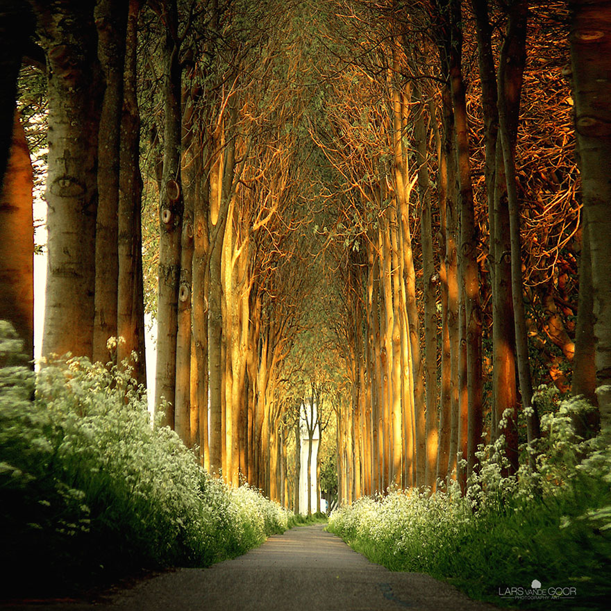 tunnels of branch-18 358717