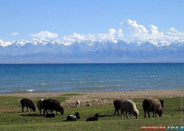 Озера, реки, водоемы