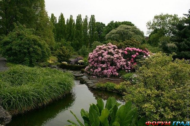 Сады и городские парки мира