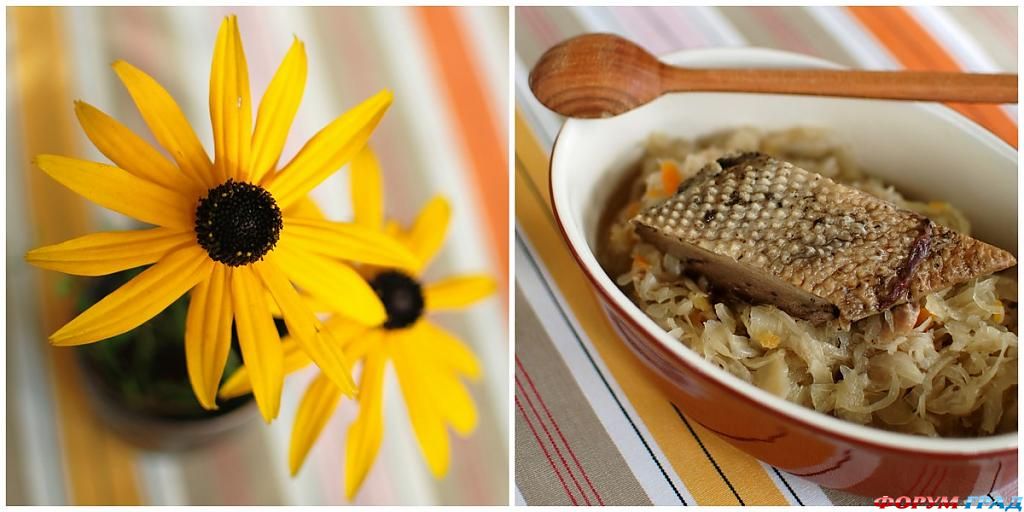 гусь по-польски