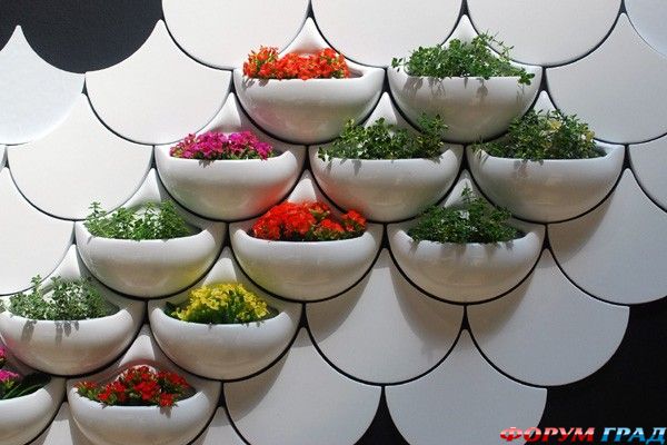Цветы в интерьере