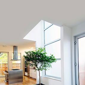 indoor-house-plants-ideas-04