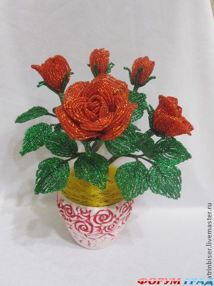 розы