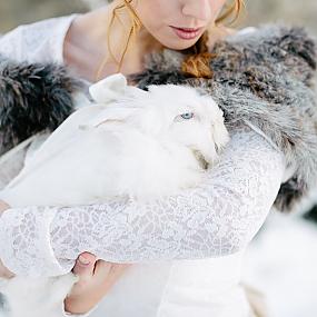 wedding-photo-shoot-in-the-snow-01