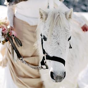 wedding-photo-shoot-in-the-snow-09
