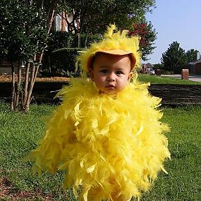 chicken-costume-06