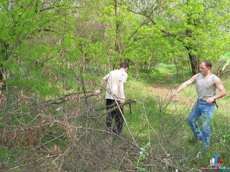 Сбор дров дро