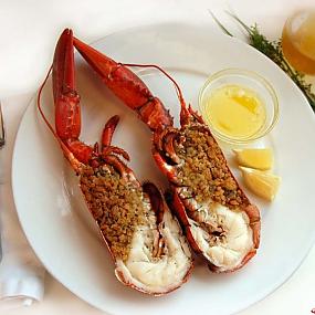 lobster-01