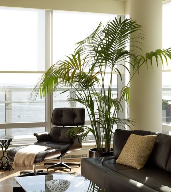 interiors-eames-lounge-chair-29