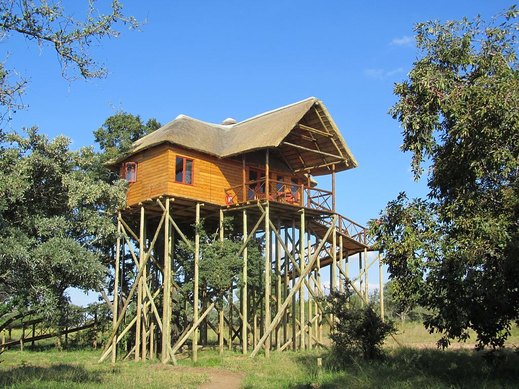 Африканское сафари в комфортабельном домике на дереве в отеле Pezulu Tree House Game Lodge, Лимпопо, ЮАР