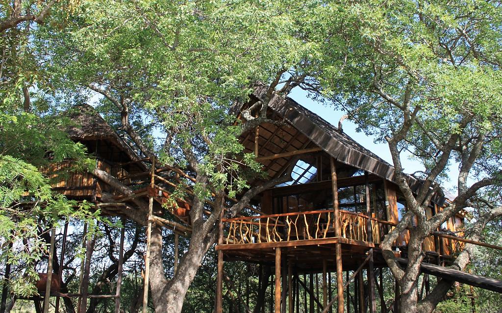 Африканское сафари в комфортабельном домике на дереве в отеле Pezulu Tree House Game Lodge, Лимпопо, ЮАР