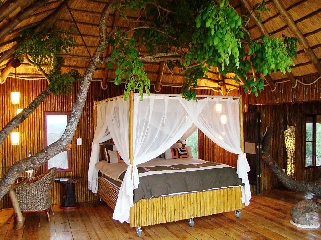 Африканское сафари в комфортабельном домике на дереве в отеле Pezulu Tree House Game Lodge, Лимпопо, ЮАР