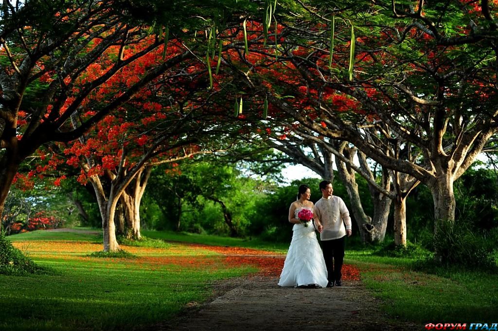 the-passion-of-love-park-02