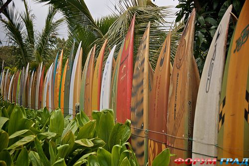 fence-of-surfing-boards-01