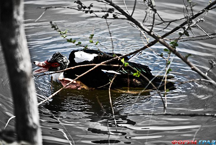 самостоятельные путешествия