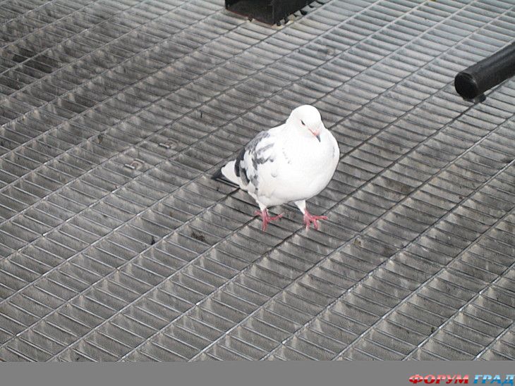 самостоятельные путешествия