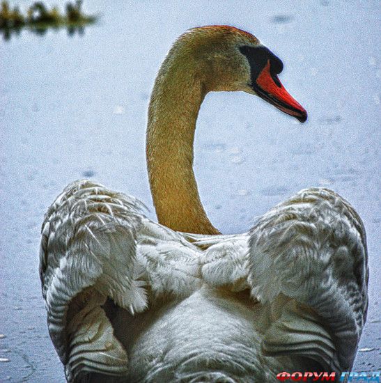 Самостоятельные путешествия