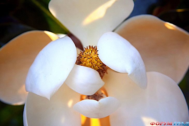 Самостоятельные путешествия