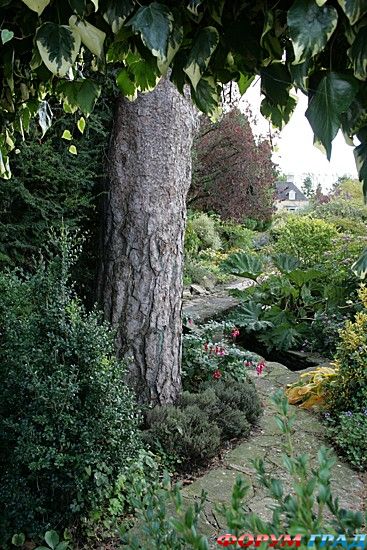 Самостоятельные путешествия