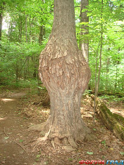 самостоятельные путешествия