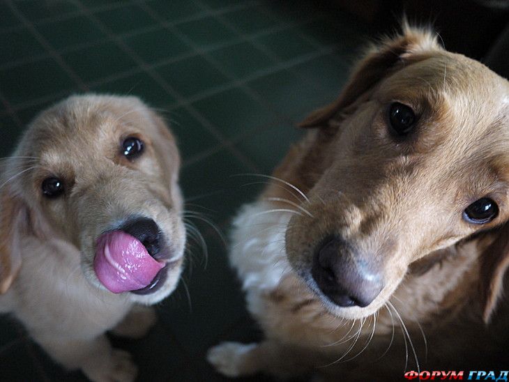 самостоятельные путешествия