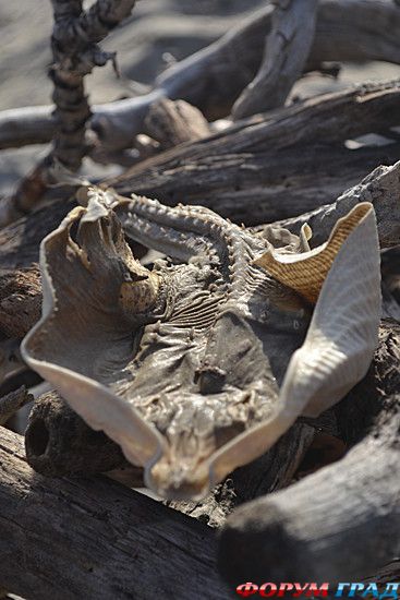 самостоятельные путешествия