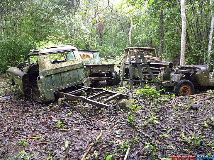 Самостоятельные путешествия