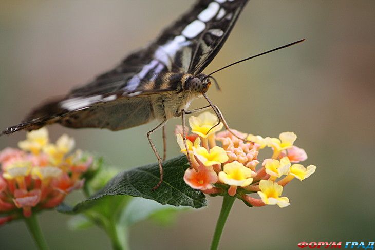 самостоятельные путешествия