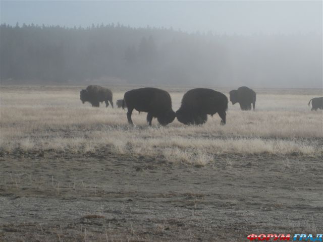 самостоятельные путешествия