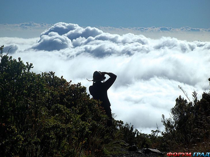 самостоятельные путешествия