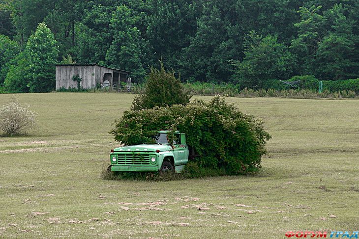 самостоятельные путешествия