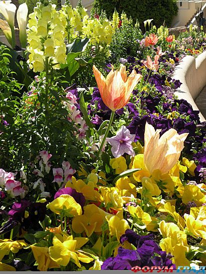 самостоятельные путешествия