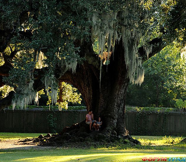 самостоятельные путешествия