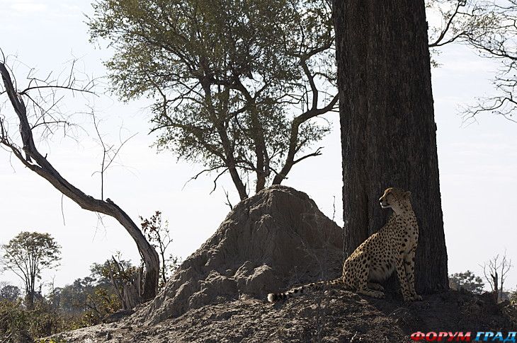 Самостоятельные путешествия