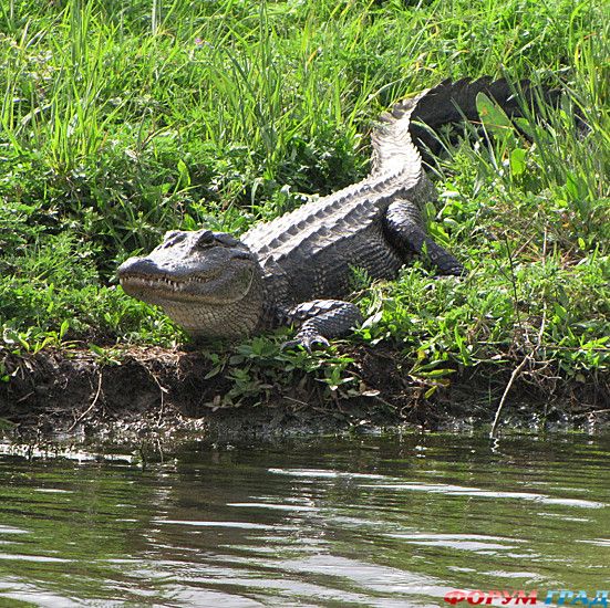 самостоятельные путешествия