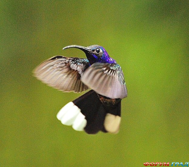 самостоятельные путешествия