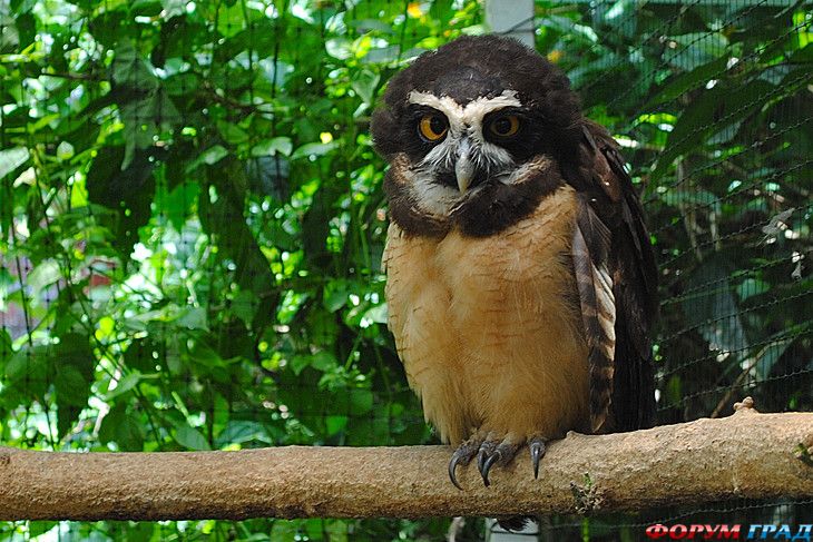 самостоятельные путешествия