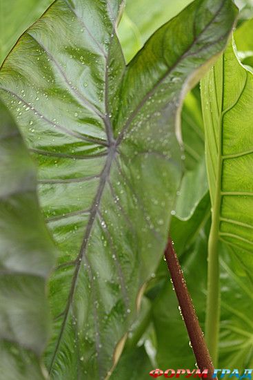 самостоятельные путешествия