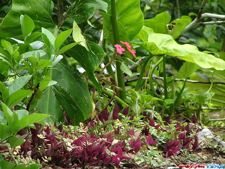 Самостоятельные путешествия