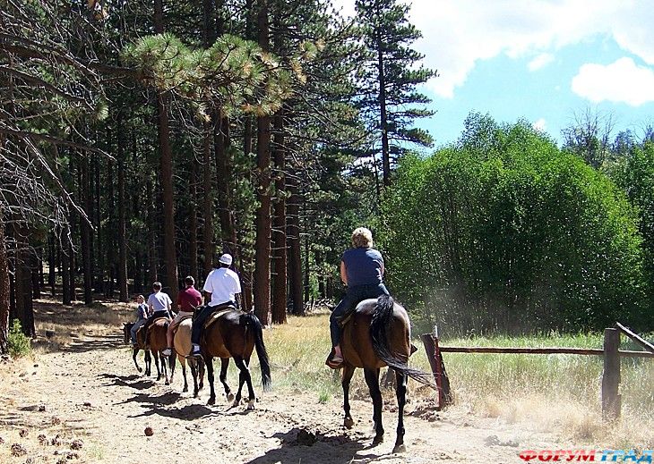 самостоятельные путешествия
