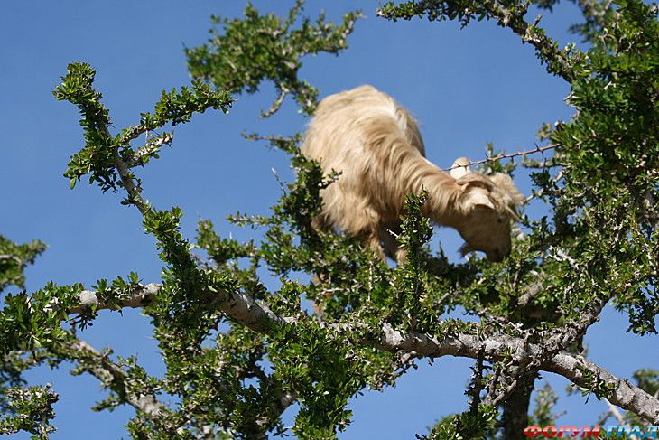 Самостоятельные путешествия