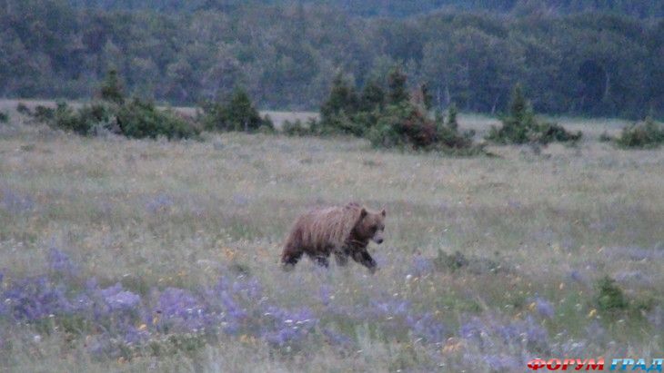 Самостоятельные путешествия