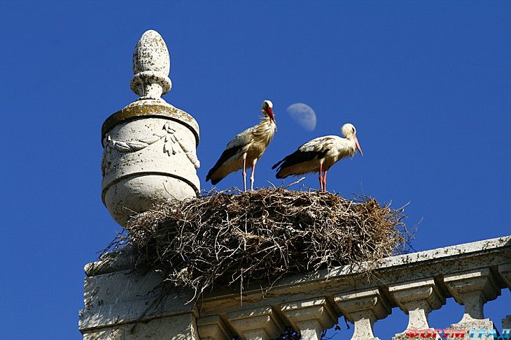 Самостоятельные путешествия