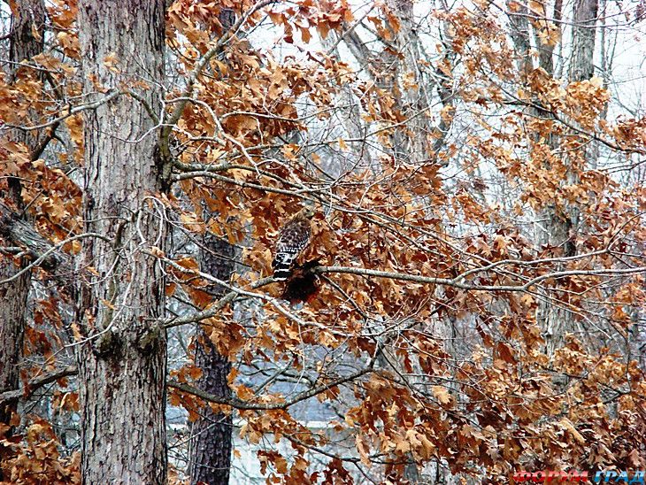 самостоятельные путешествия