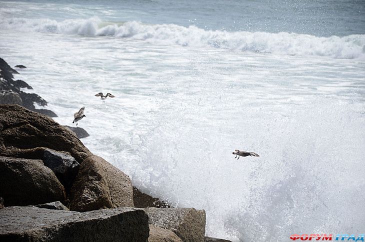 самостоятельные путешествия