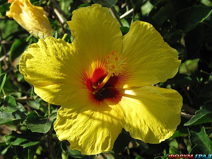 самостоятельные путешествия