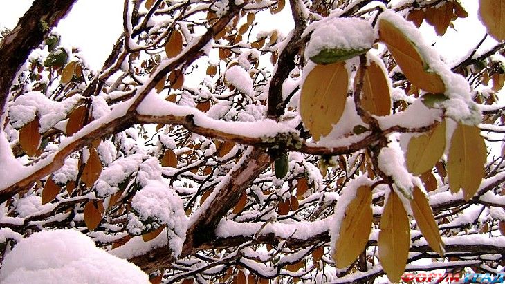 самостоятельные путешествия