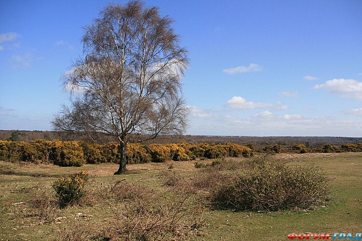 самостоятельные путешествия