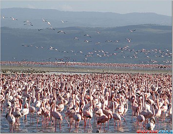 Самостоятельные путешествия